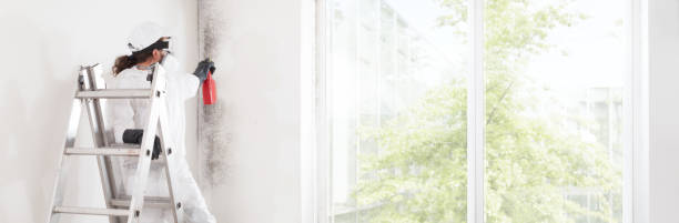 Best Mold Prevention Services  in Ahwahnee, CA